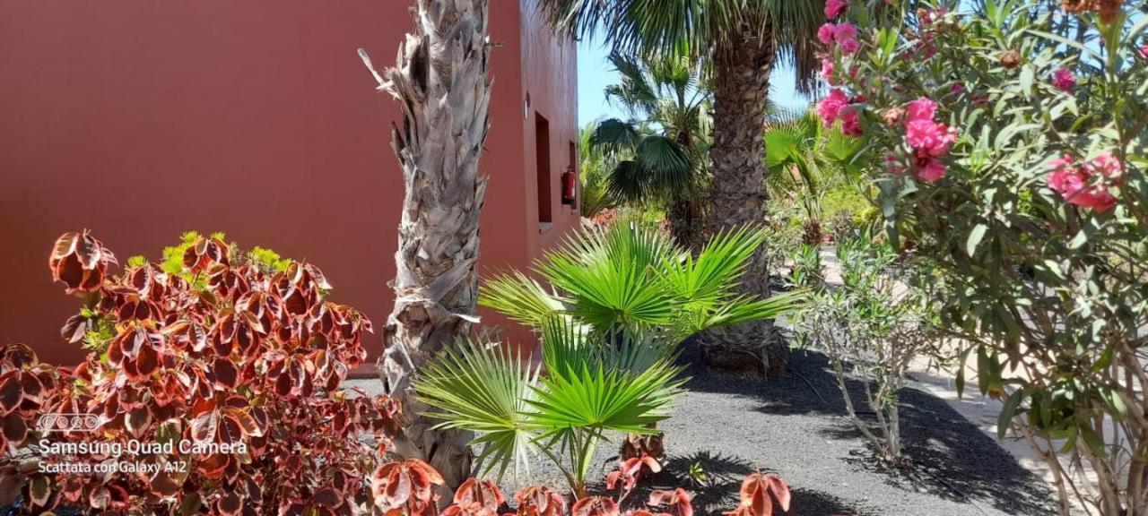 Corralejo Happy Place, Precioso Apartamento Con Piscina ภายนอก รูปภาพ
